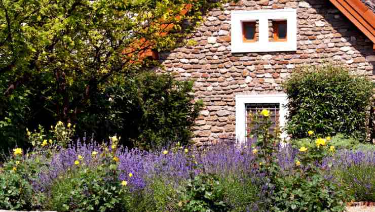 Casa con giardino