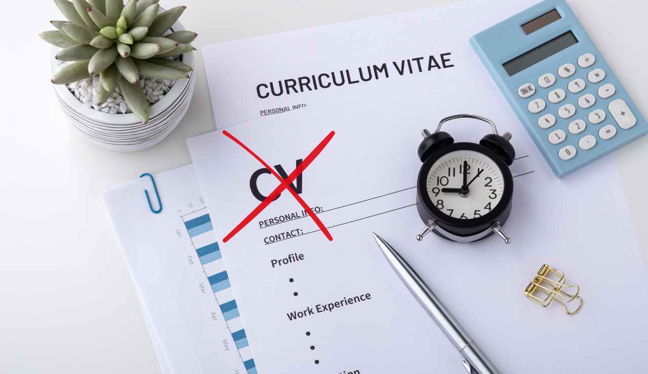 Curriculum vitae